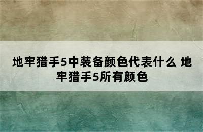 地牢猎手5中装备颜色代表什么 地牢猎手5所有颜色